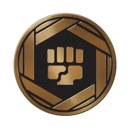 Coin – Fighting Type